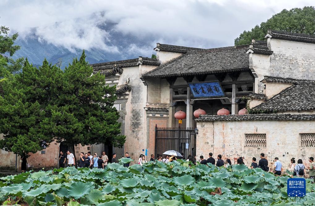 糖果派对官方网站